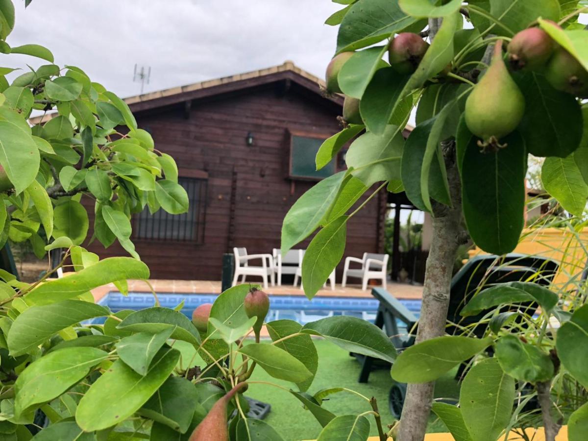 Hébergement de vacances Casa De Madera El Oasis El Palomar Séville